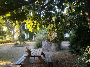 A wooden picnic table with a potted plant in a garden area with trees and a stone structure. - Le Domaine du Bouchon (Gans)