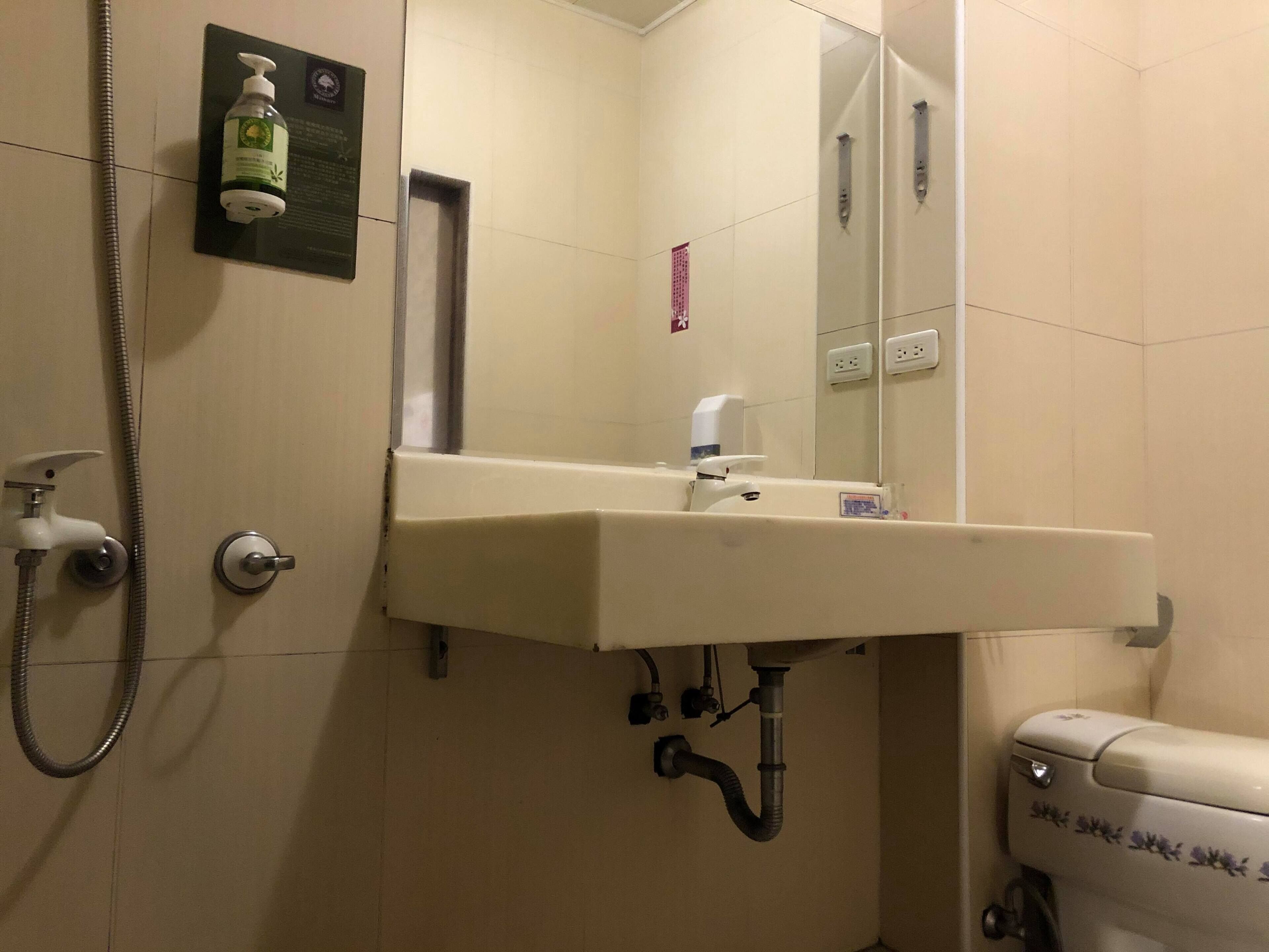 A bathroom with a sink, mirror, and toilet.