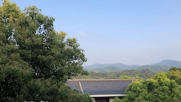 山景