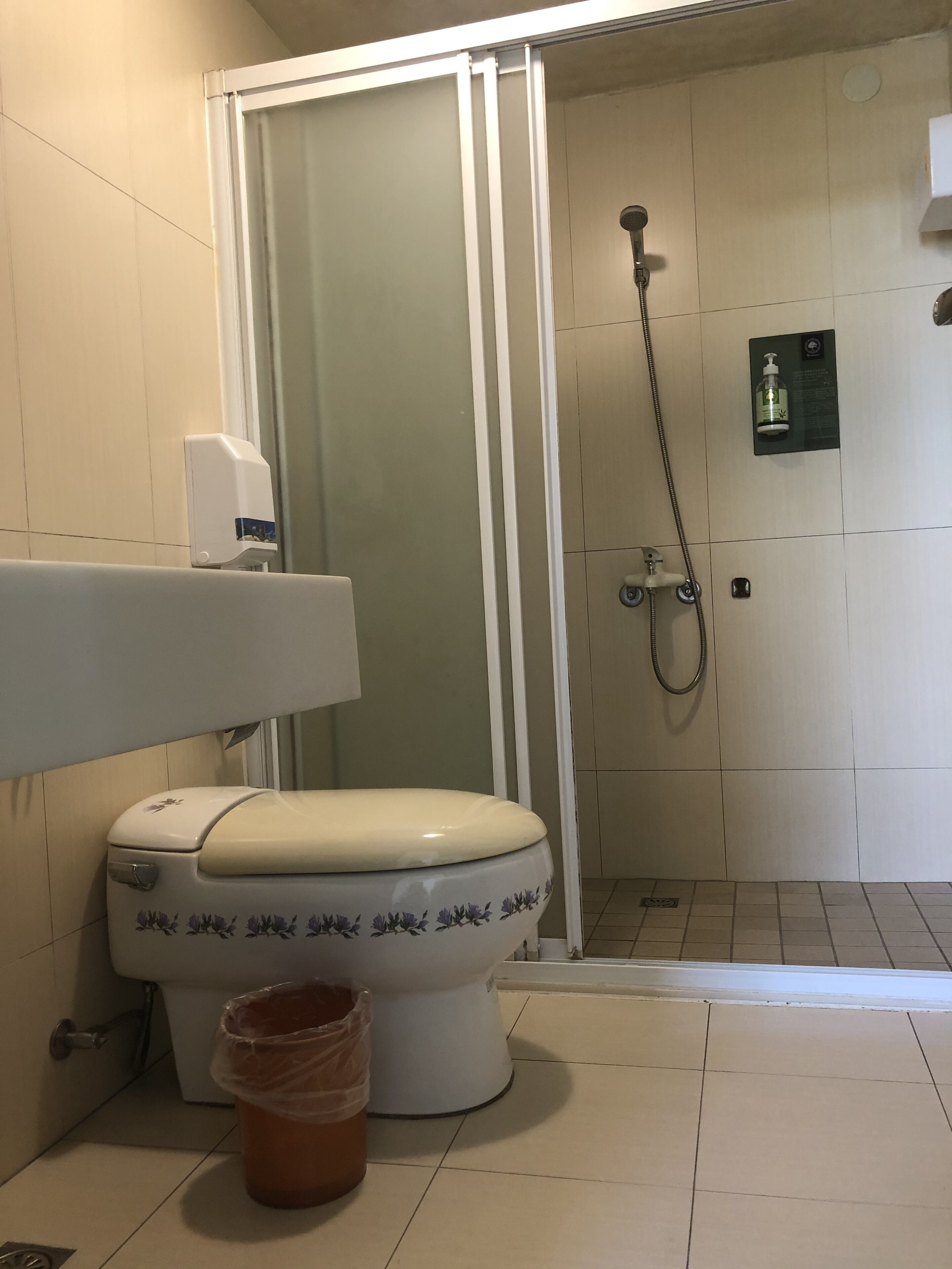 A bathroom with a toilet, a shower, and a soap dispenser.