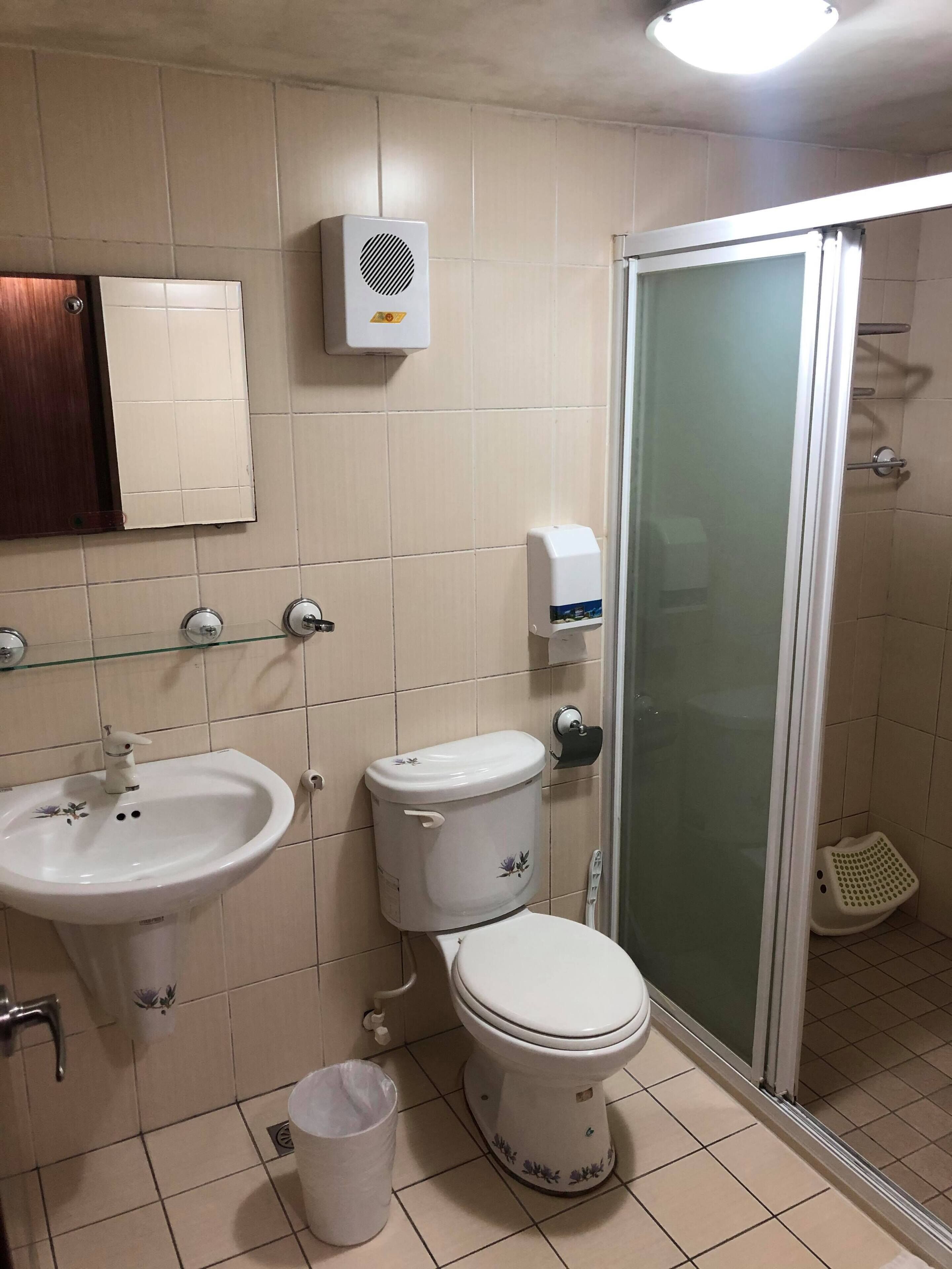 Un baño con lavabo, inodoro y ducha.
