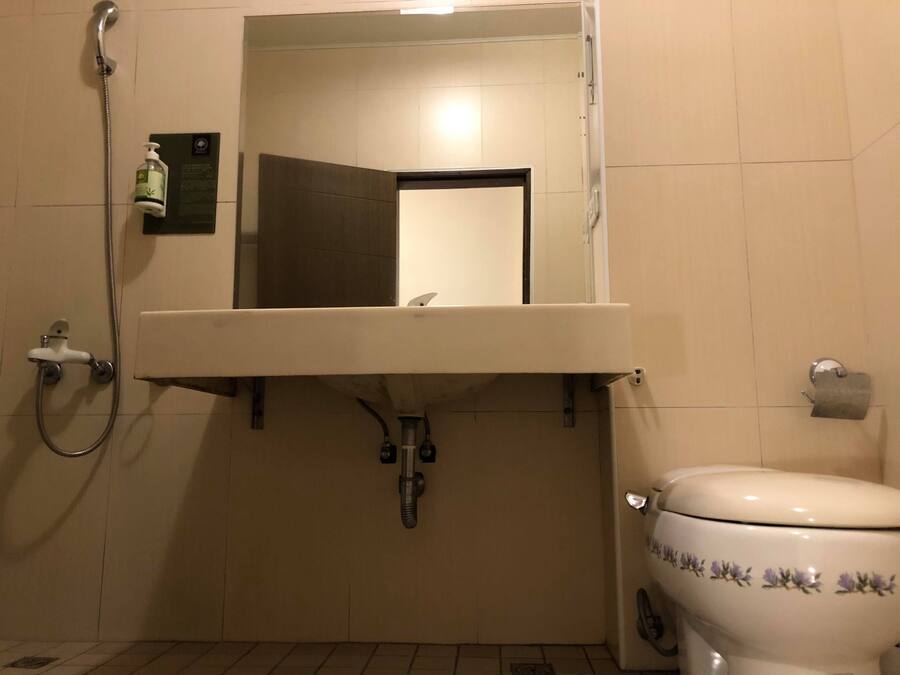 Un baño con lavamanos, espejo, ducha e inodoro.
