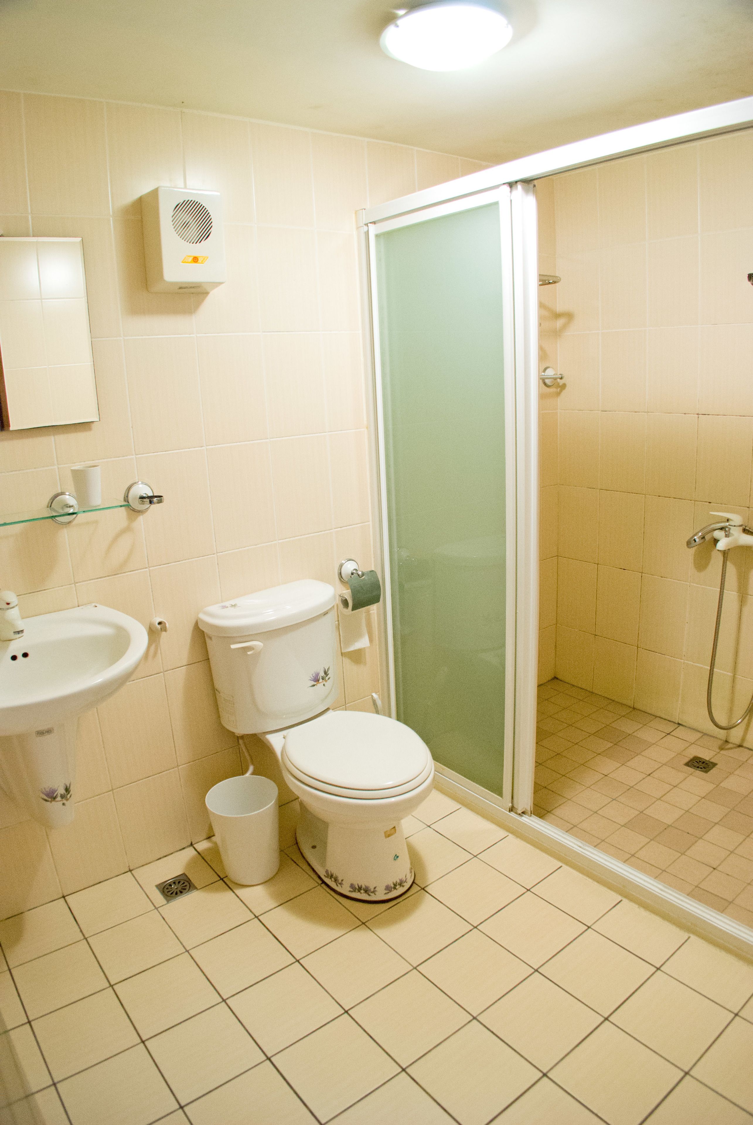 Un baño con inodoro, lavamanos y ducha.