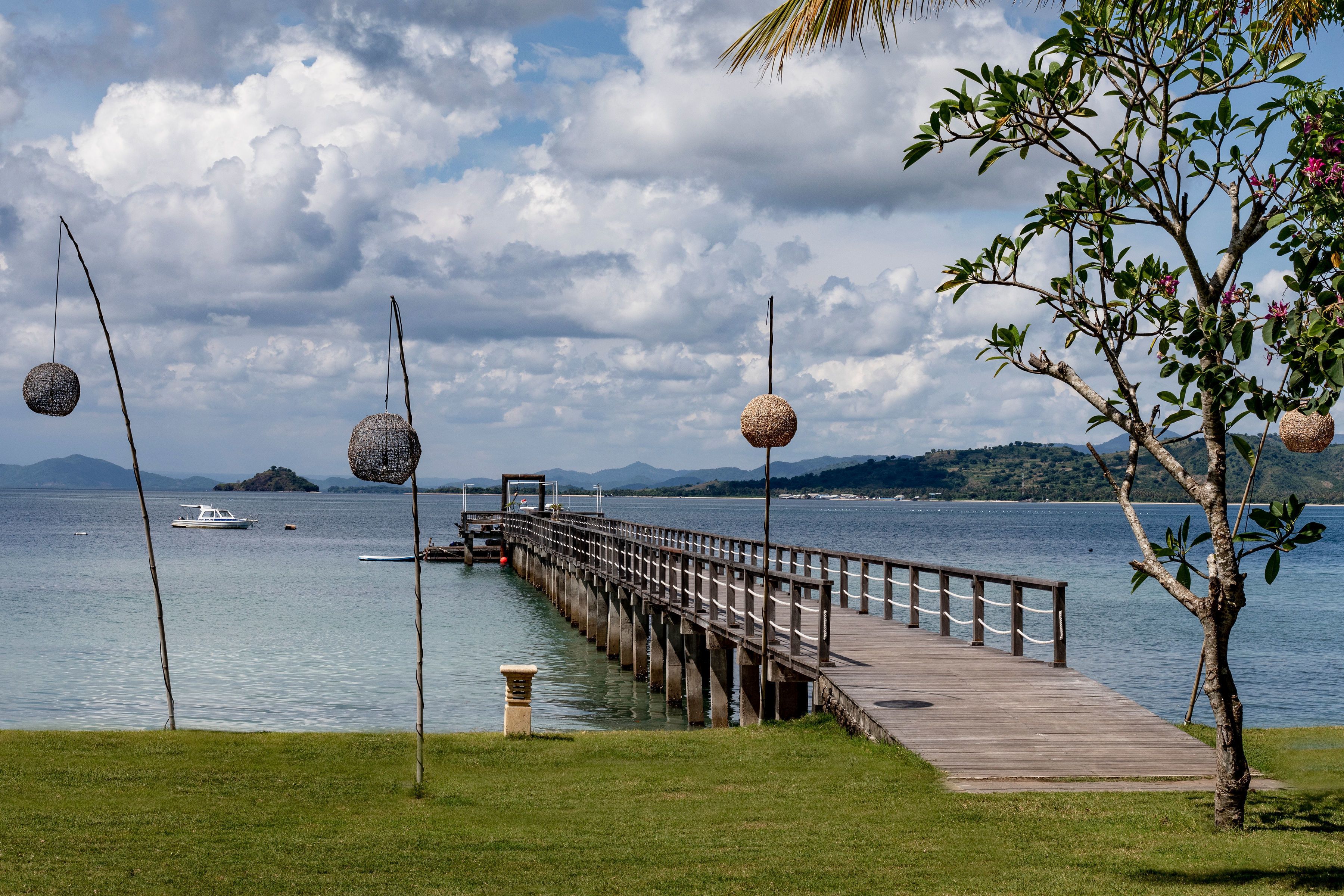 A wooden pier extending into calm water, with a grassy area in the foreground and a tree with hanging spherical decorations.