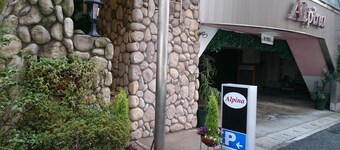 Hotel Alpina
