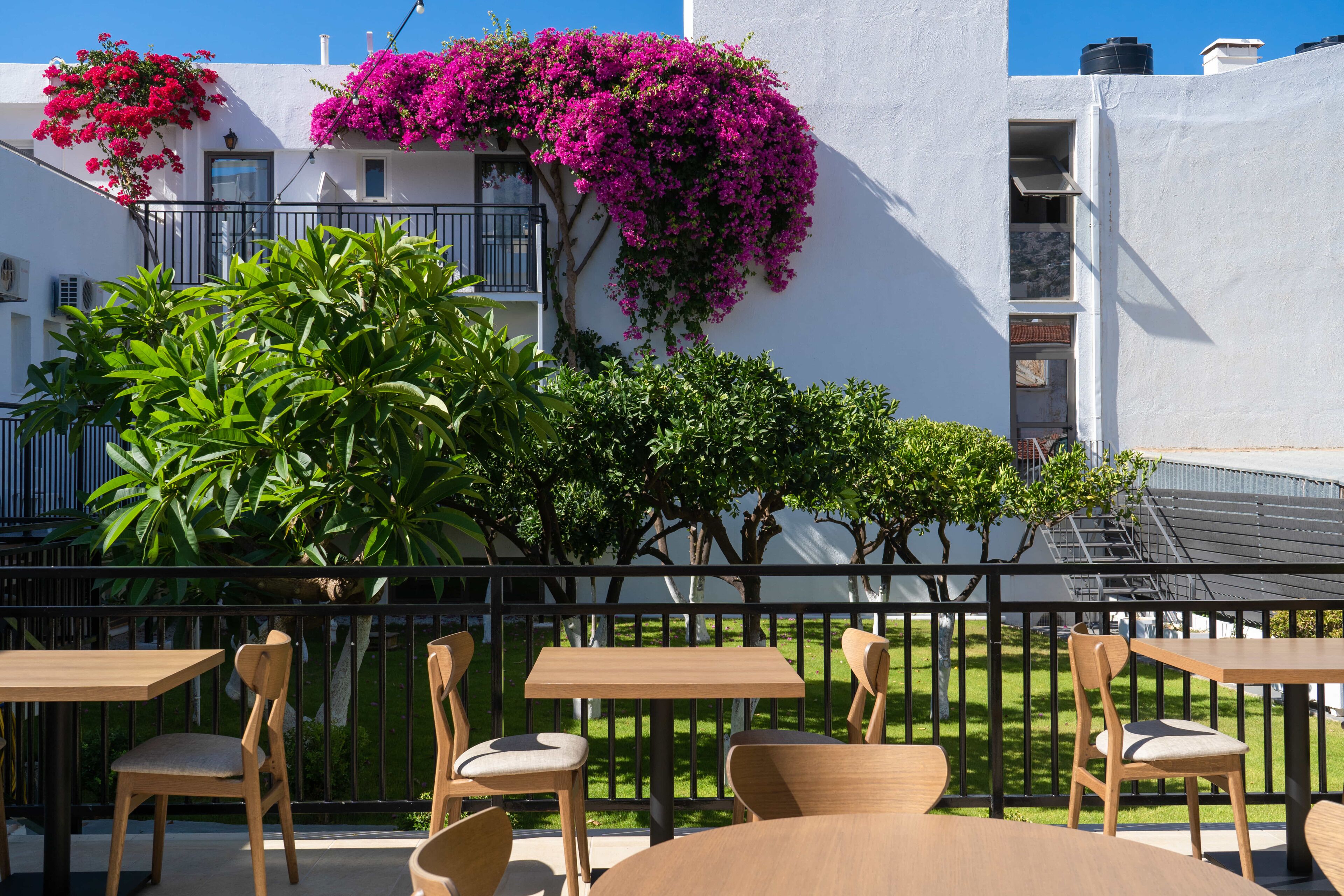Foto - Malia Holidays Hotel