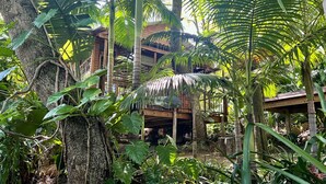 A wooden structure with a thatched roof, surrounded by dense tropical foliage. - LoerieRoep (Mbombela)