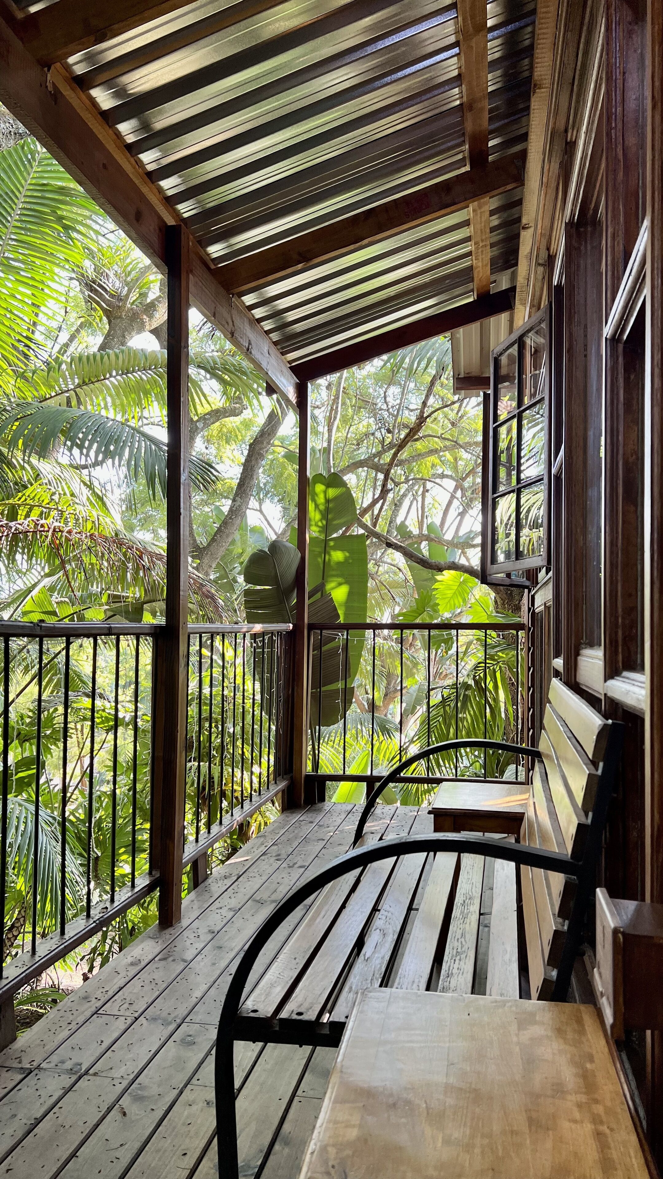 TREE HOUSE  | Terrazza/patio