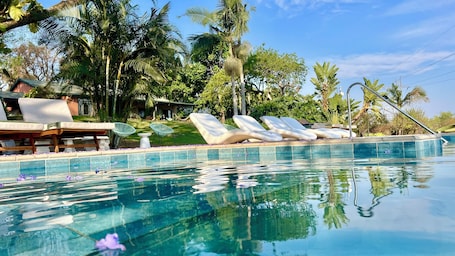 Una piscina al aire libre, sombrillas, sillones reclinables de piscina
