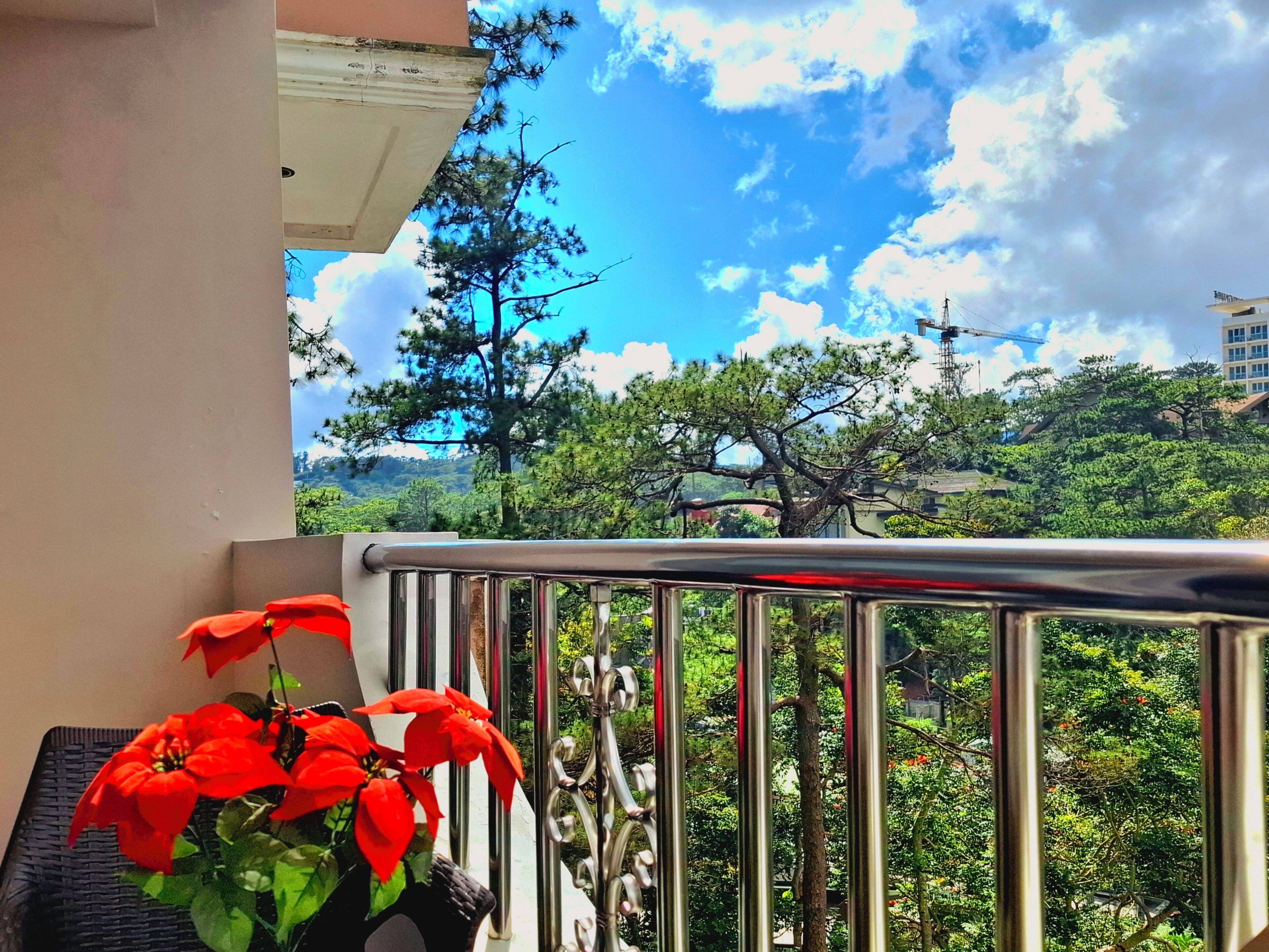 Un balcon avec une balustrade en métal, un pot de fleurs aux fleurs rouges et une vue sur un paysage verdoyant, avec des arbres et des bâtiments.