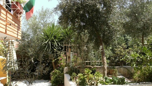 A garden with various plants and a white wall. - Katerina Hotel (Nafplio)