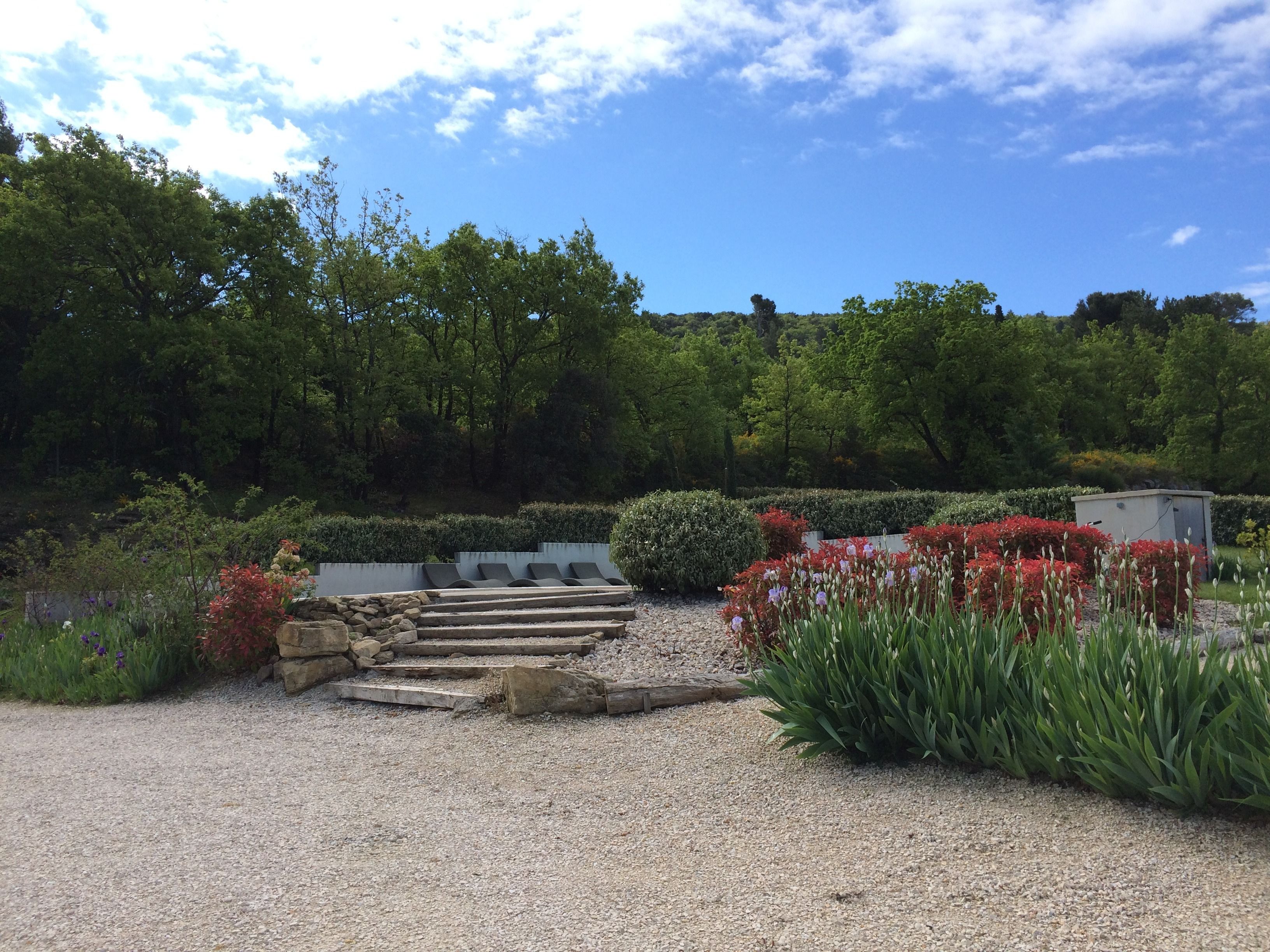 A garden with a gravel path, stone steps, and various plants and flowers.