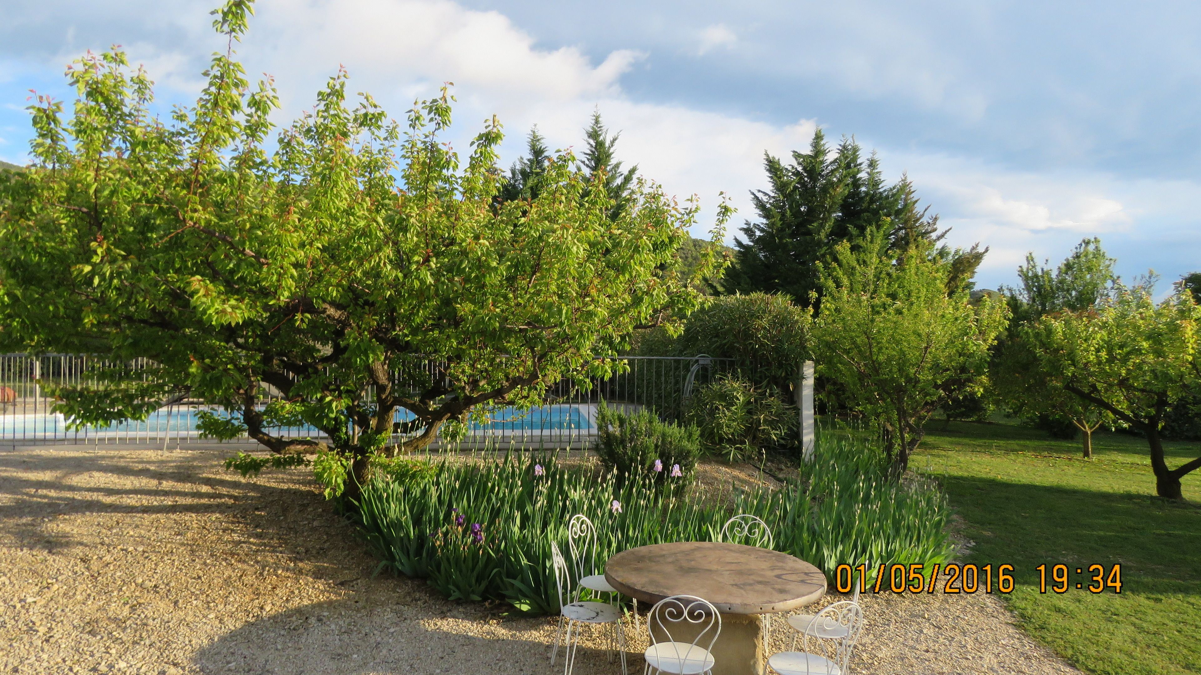 A garden with a round table and chairs, surrounded by greenery and trees.