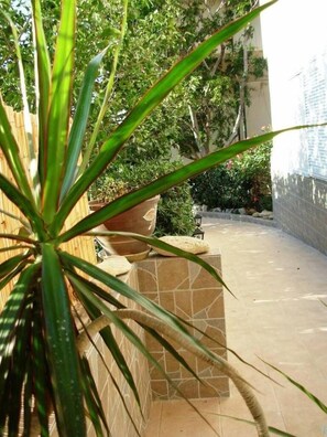 Parco della struttura