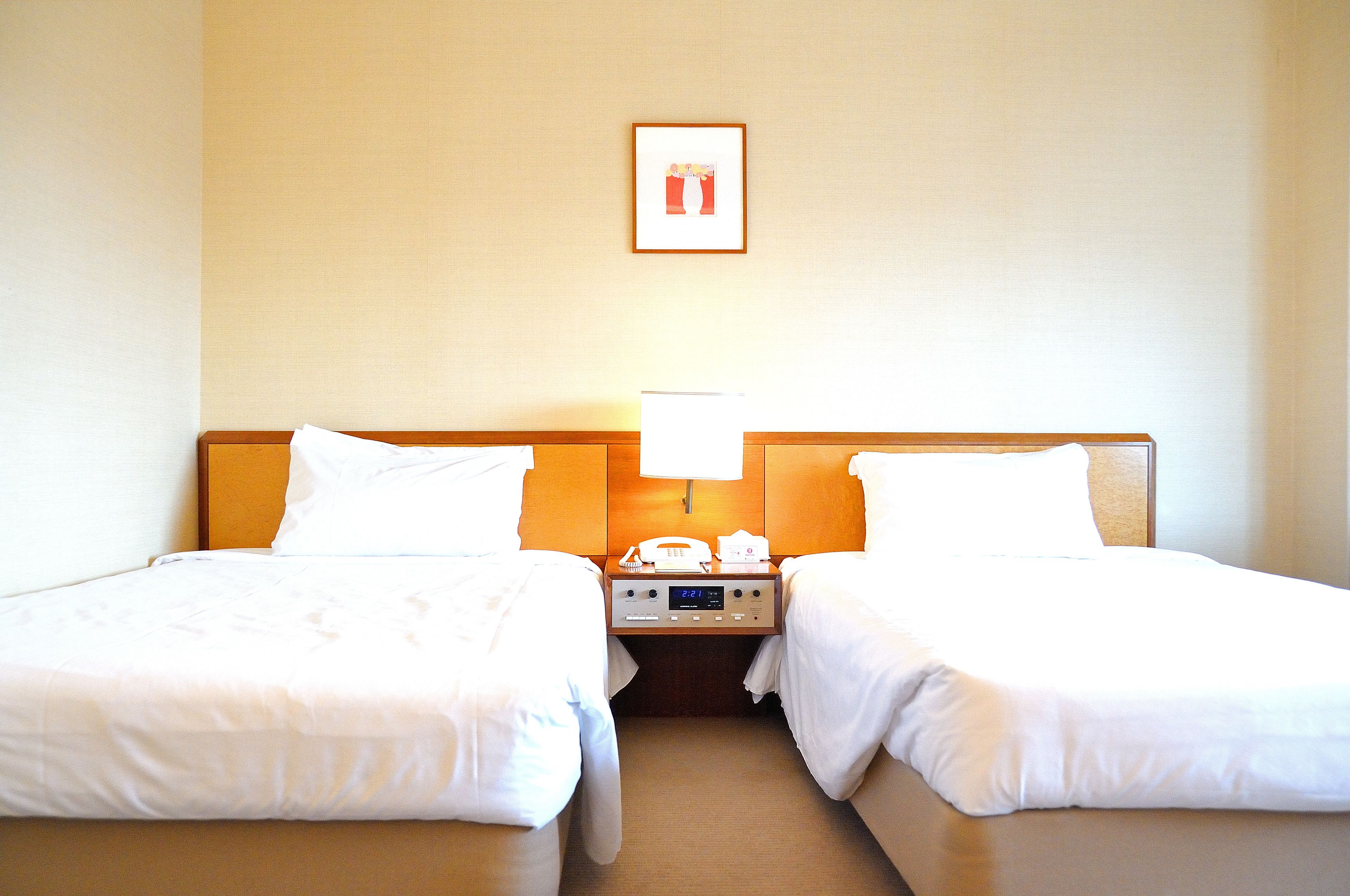 Habitación de hotel con dos camas individuales, una mesita de noche con lámpara, teléfono y un cuadro en la pared.