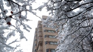 A building with multiple windows and snow-covered branches in the foreground. - Hotel New Otani Nagaoka (Nagaoka)
