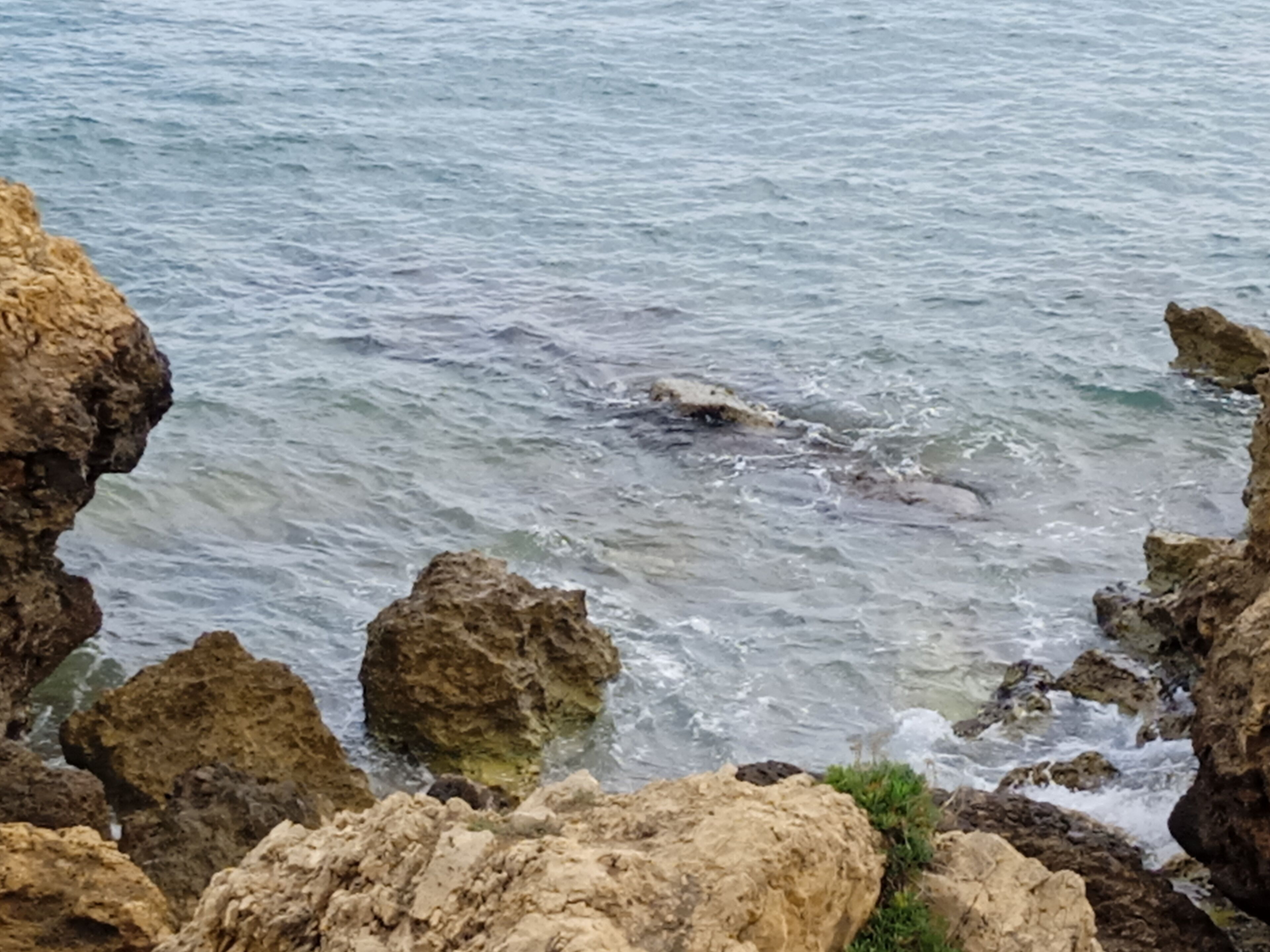 Foto - Ilona Apartments Chania