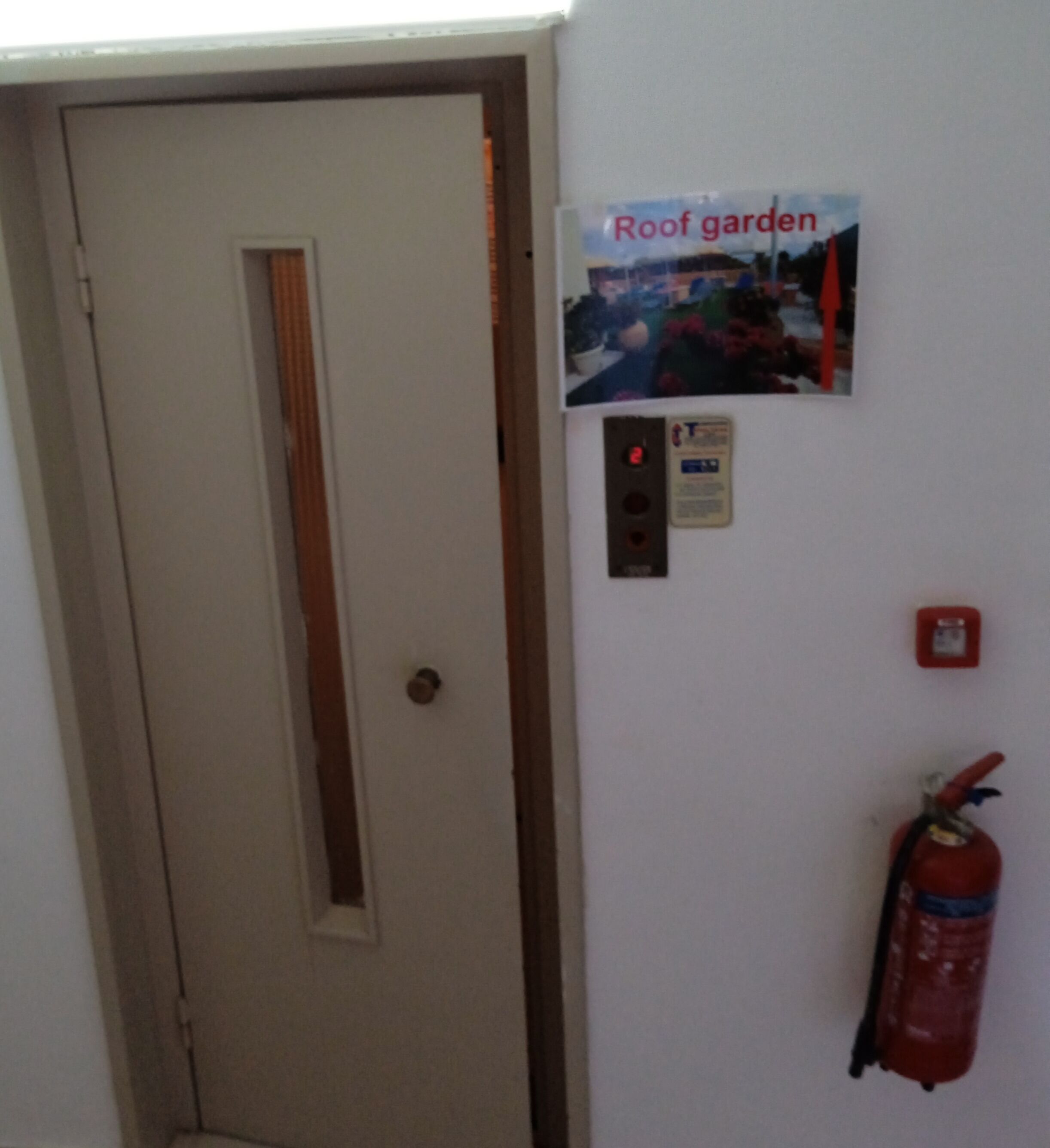 Foto - Ilona Apartments Chania