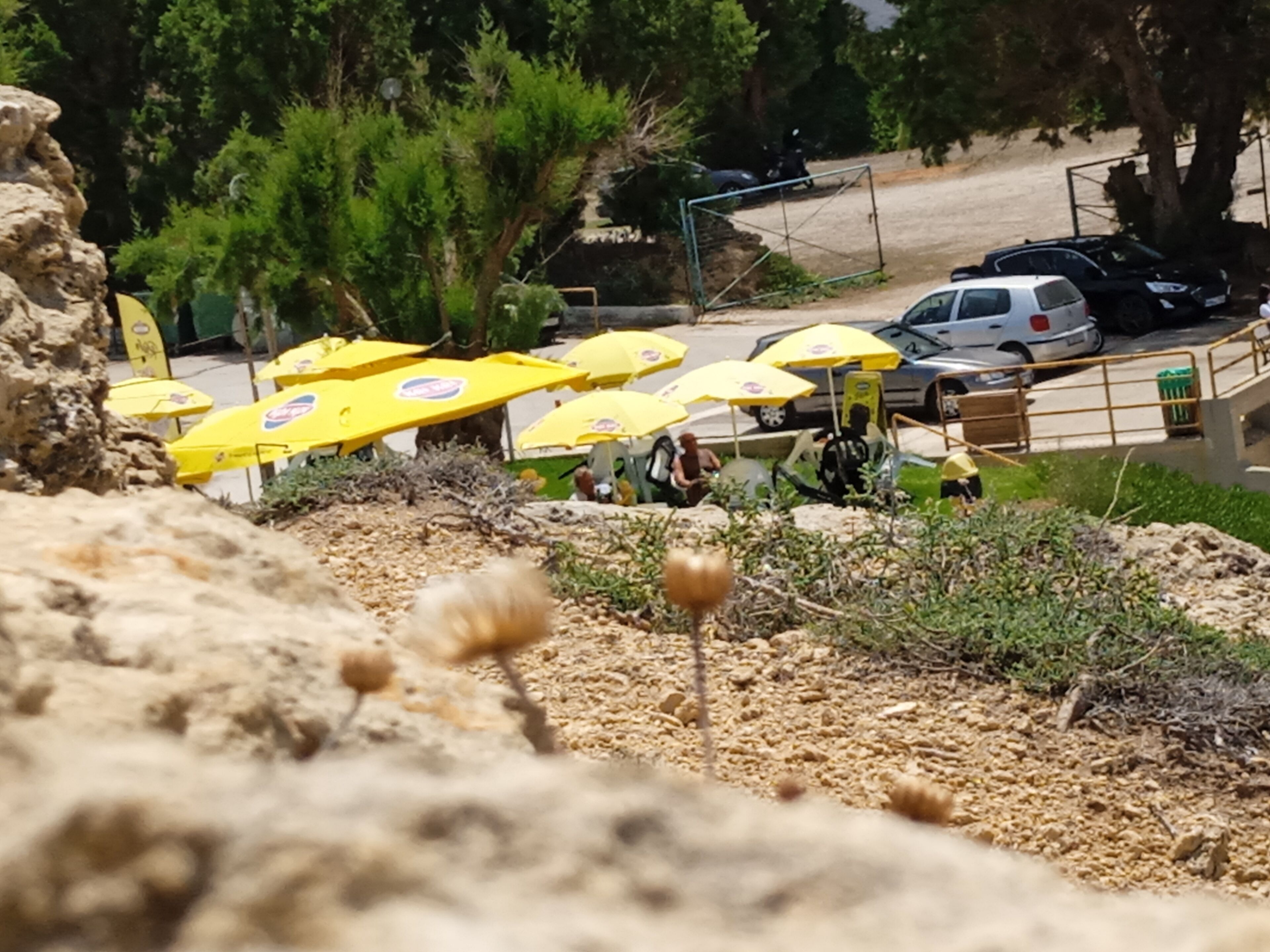 Foto - Ilona Apartments Chania