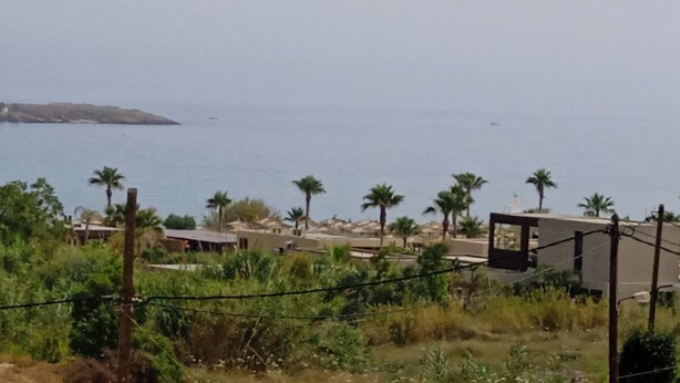 A coastal area with a view of the sea, palm trees, and a few buildings in the background. - Ilona Apartments (Chania)