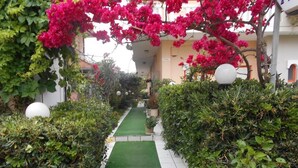A pathway flanked by lush greenery and vibrant bougainvillea flowers, leading to a building with a white facade and a signboard. - Ilona Apartments (Chania)