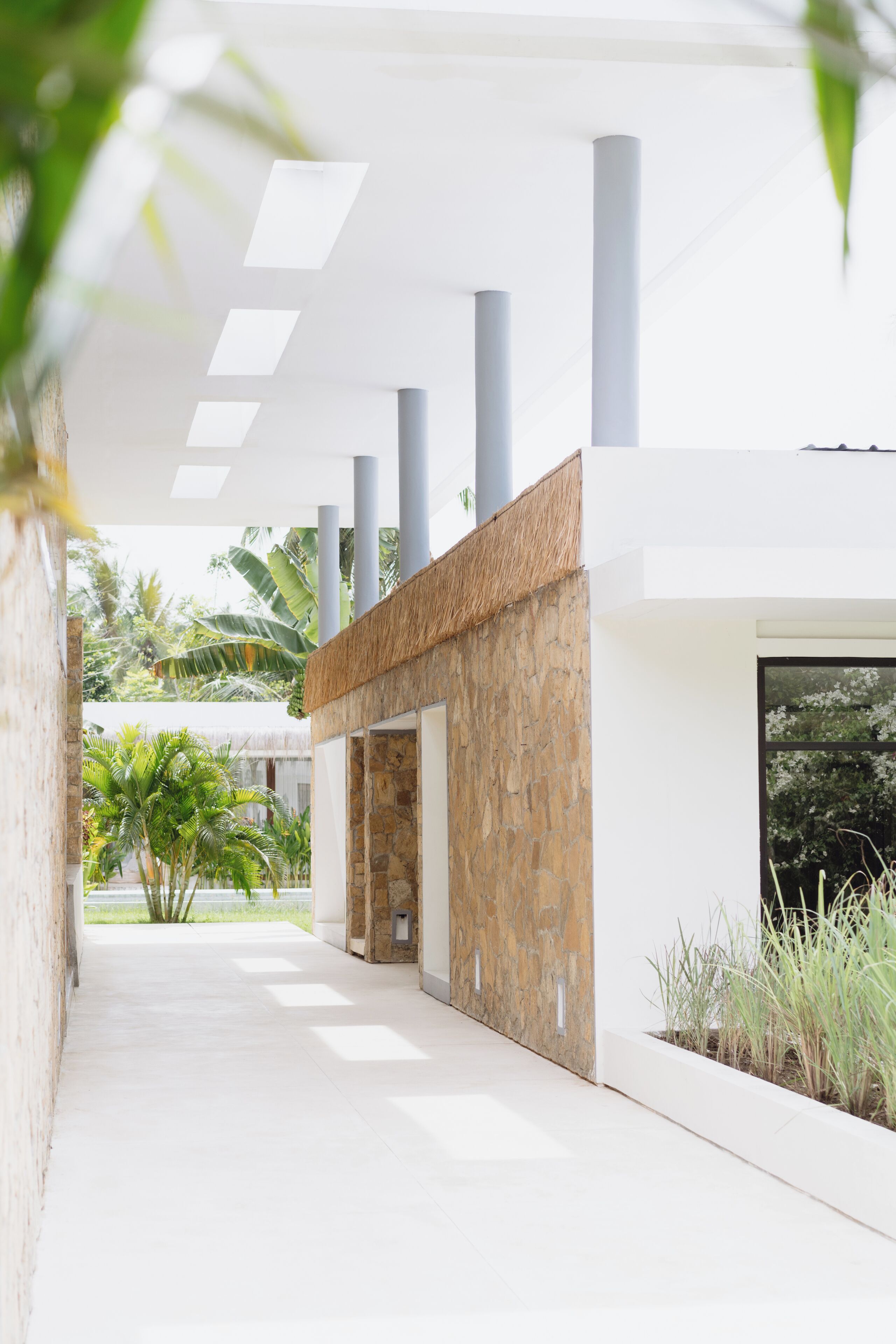 A modern building with a long corridor, large windows, and a view of tropical plants.