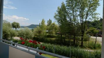 Classic Double Room, Balcony | View from room