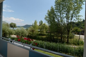 Vista desde la habitación