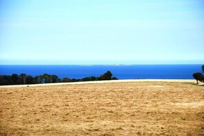 A flat, open field with a clear view of the ocean and distant land. - Pyttegaarden Apartments (Gudhjem)