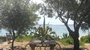 Ein Holztisch mit zwei Korbstühlen, einem Blumentopf und Blick auf das Meer.