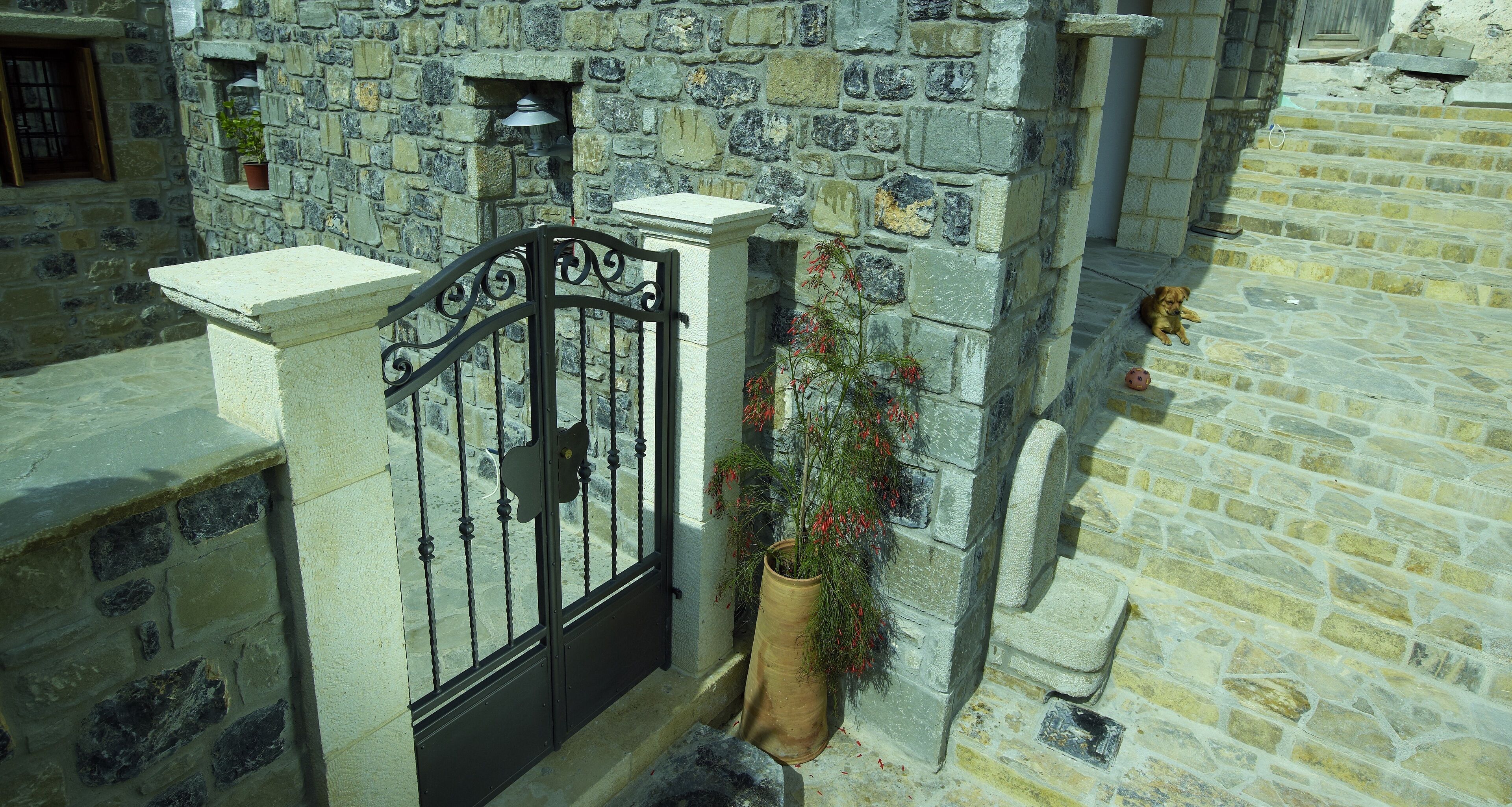 Ein Steinhaus mit schwarzem schmiedeeisernen Tor, einem Blumentopf und einem kleinen Hund auf den Stufen.