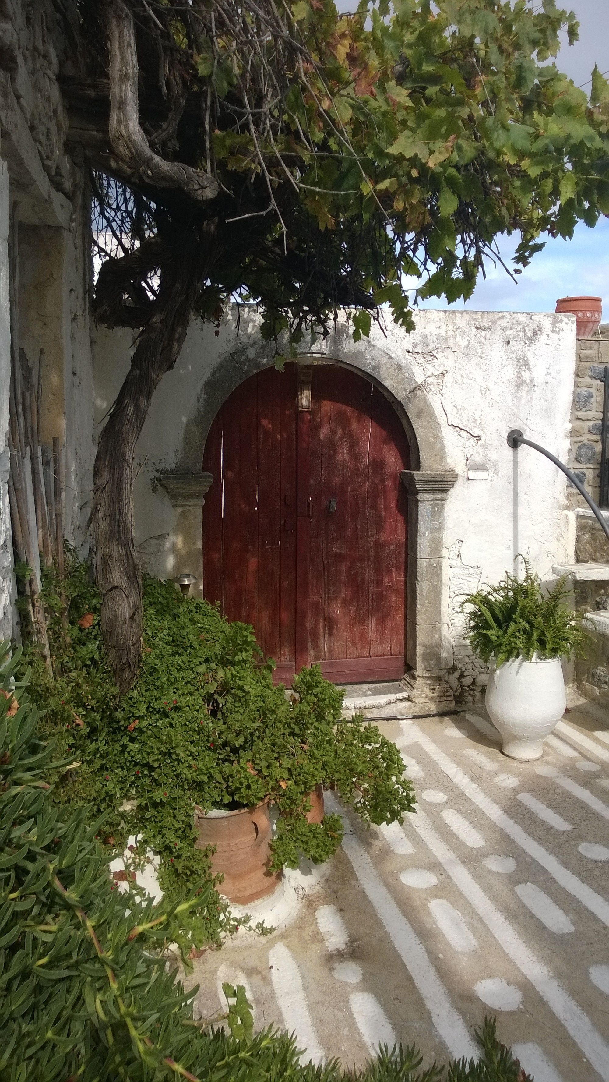Un rústico edificio de piedra con una gran puerta de madera, rodeado de follaje y un suelo de piedra estampada.