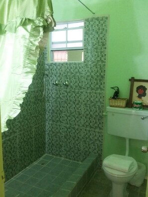 A bathroom with a shower, toilet, and a small window.