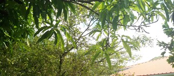 Celestial Vacation Home