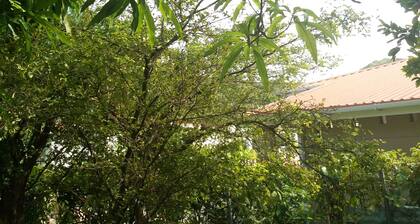 Celestial Vacation Home