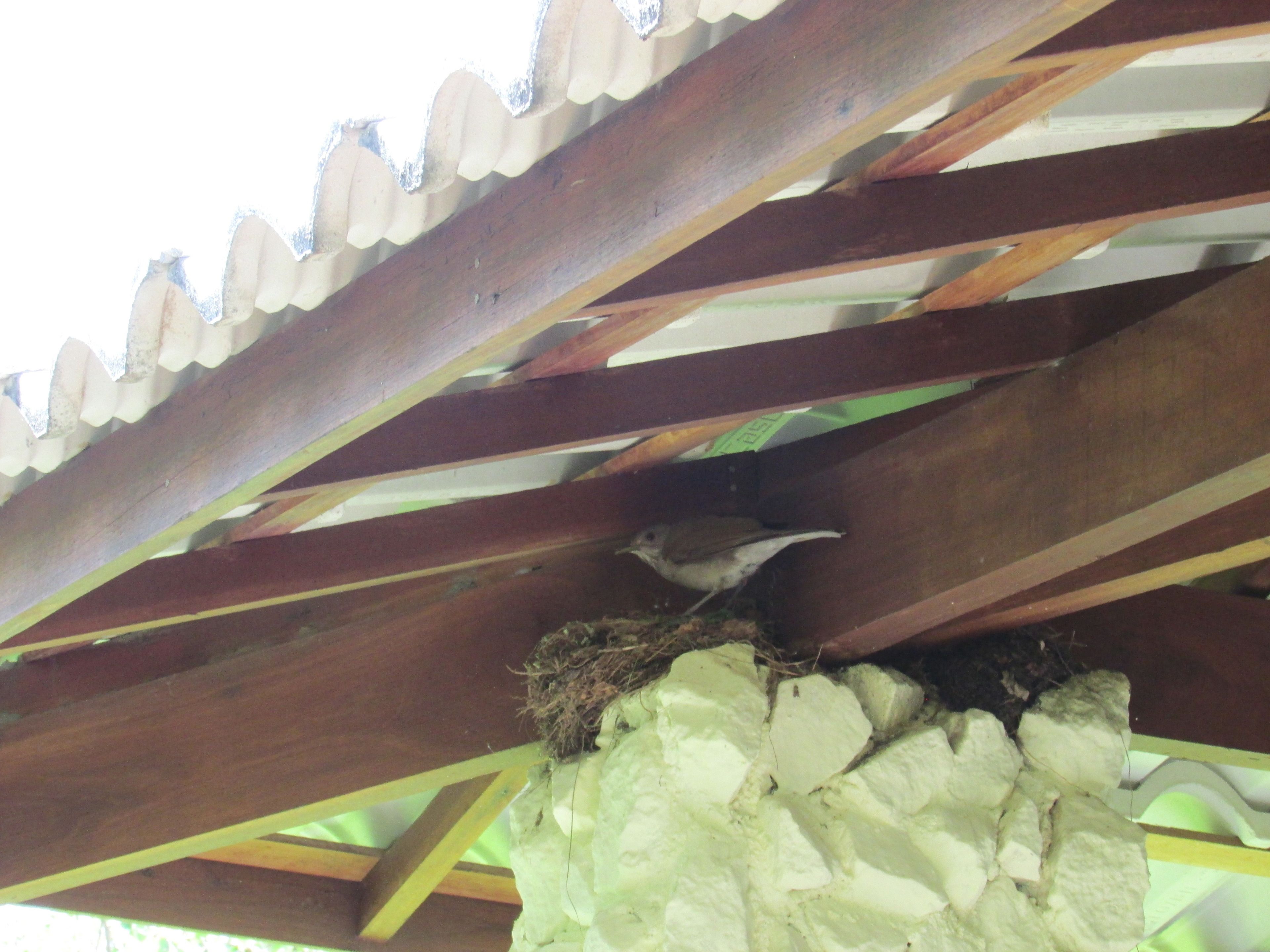 Photo - Pousada Ipitanga IV