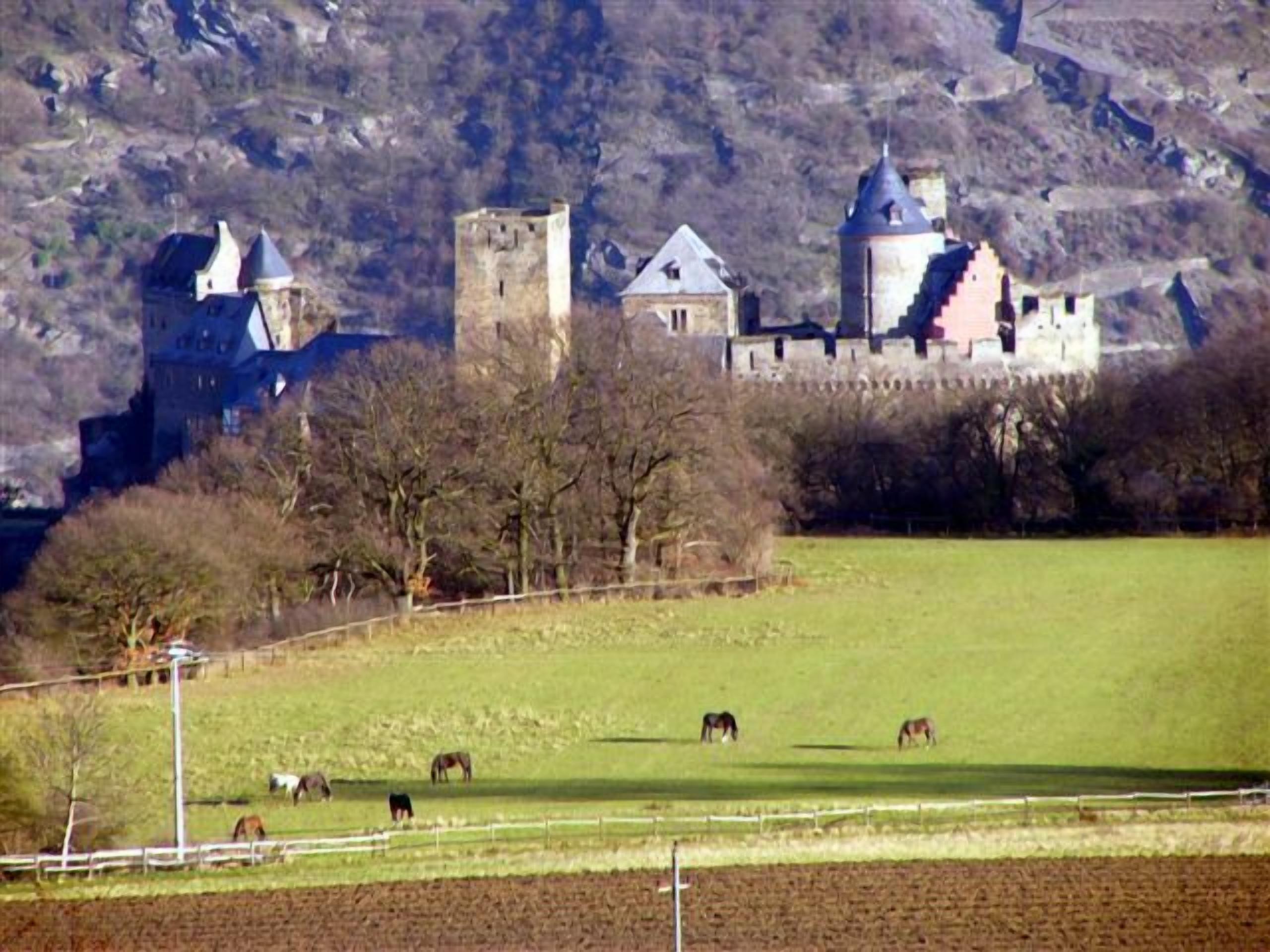 A castle with multiple towers and a large courtyard with horses grazing.