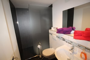 Douche, articles de toilette de luxe, sĂšche-cheveux, serviettes fournies
