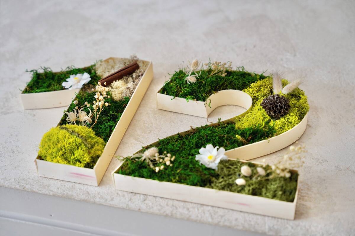 A decorative number '2' made of moss and flowers.