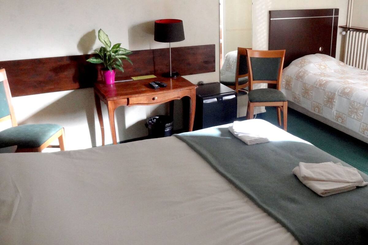 A hotel room with a bed, a desk, a chair, a small table, a potted plant, and a radiator.