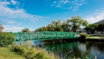 Un pont vert enjambant une étendue d’eau paisible, entouré de verdure et sous un ciel dégagé.