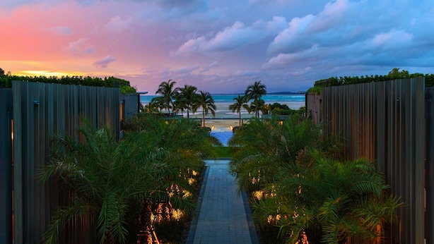 A pathway leading to a beach with palm trees and a view of the ocean.