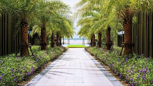 A pathway lined with palm trees and purple flowers leading to a body of water.
