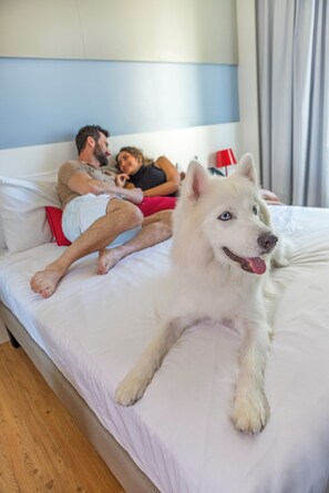 Minibar, in-room safe, desk, blackout curtains - Mercure Jundiai Shopping (Jundiai)