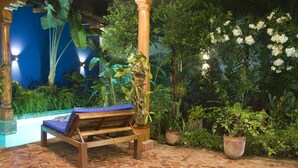 Un banco de madera con un cojín azul en un jardín con plantas en macetas y un fondo azul.