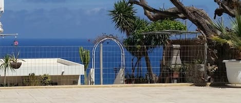 Seasonal outdoor pool, open 8 AM to 8 PM, pool loungers