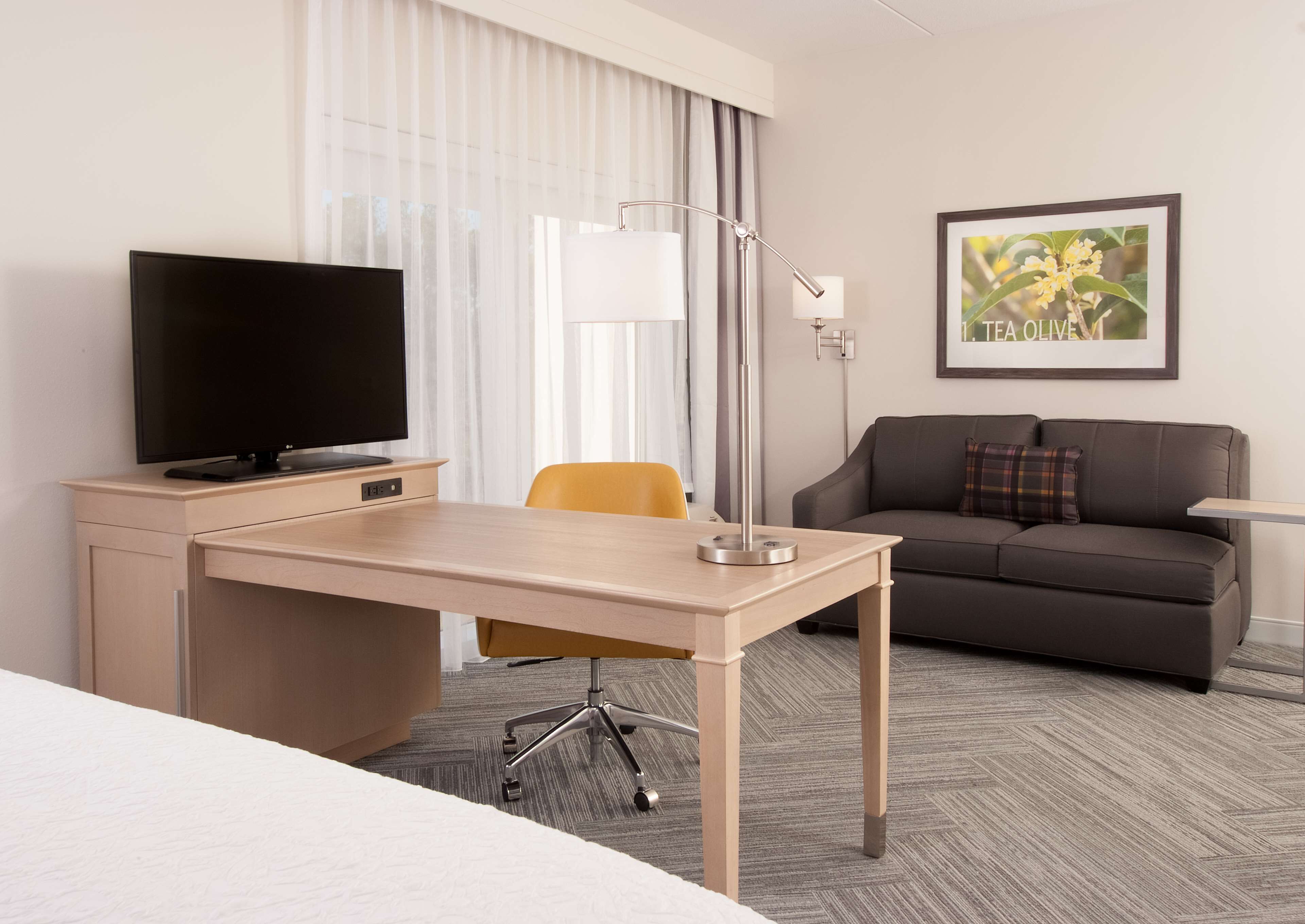 A hotel room with a desk, chair, television, sofa, and a framed picture on the wall.