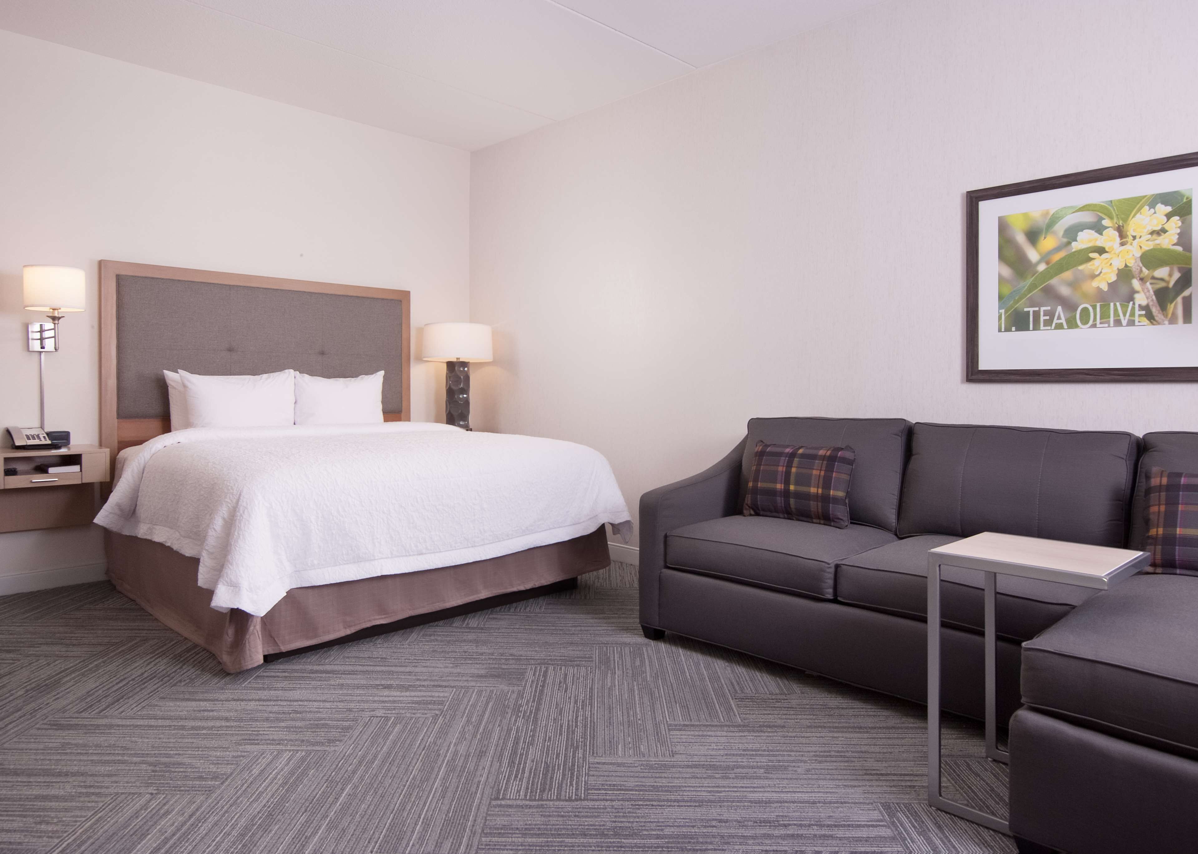 A hotel room with a bed, a gray sofa, a small table, and a wall-mounted picture of tea olives.