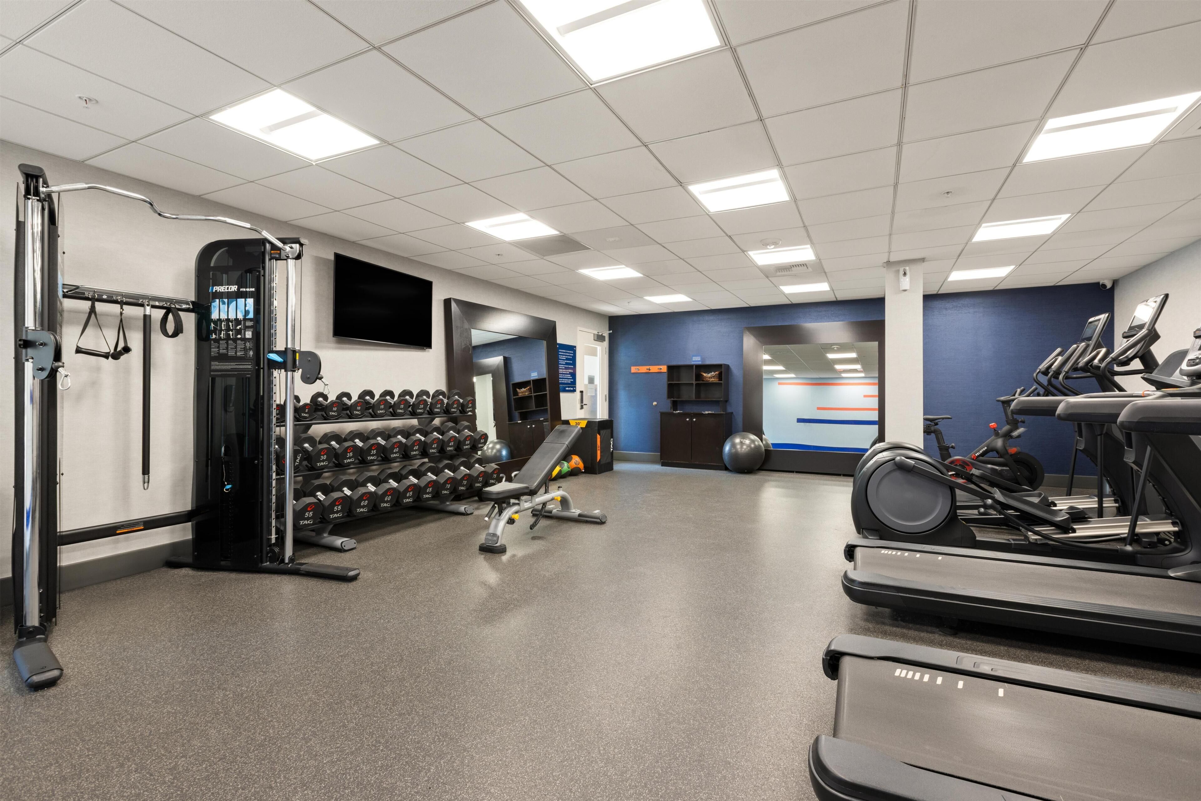 A gym with treadmills, dumbbells, and exercise equipment.