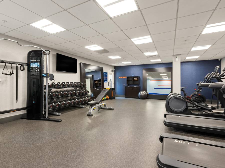A gym with treadmills, dumbbells, and exercise equipment.